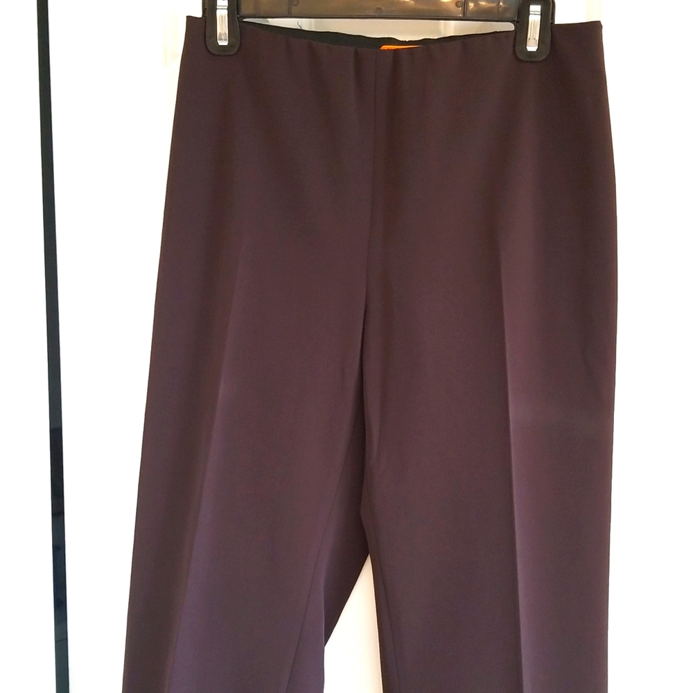 Alex Garfield Dark Brown Pants NWT Size 2